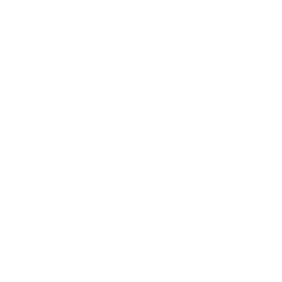 3.WE BUILD<br /> THE SCENE